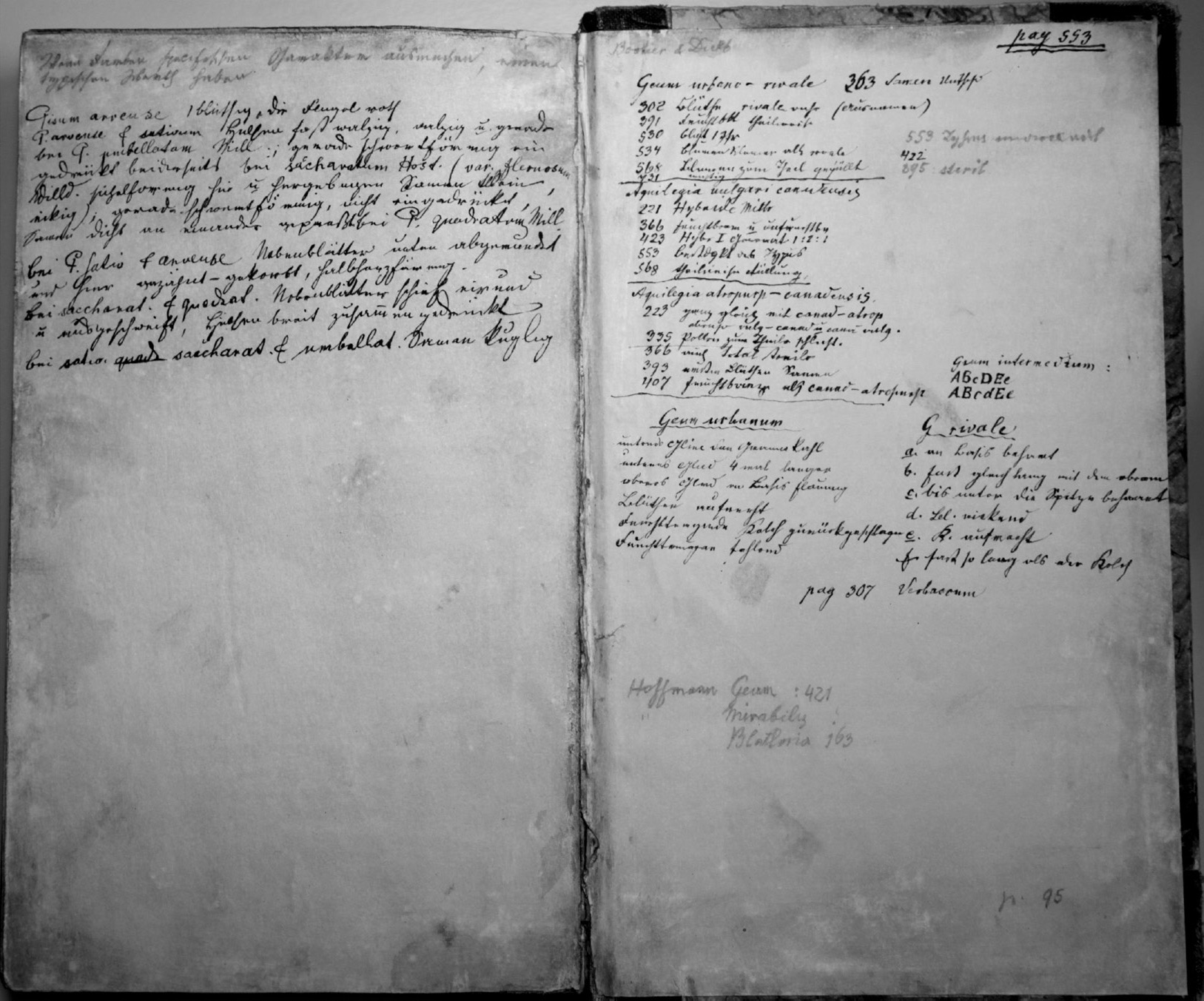 Image 1: Mendel's notes on flower-color experiments